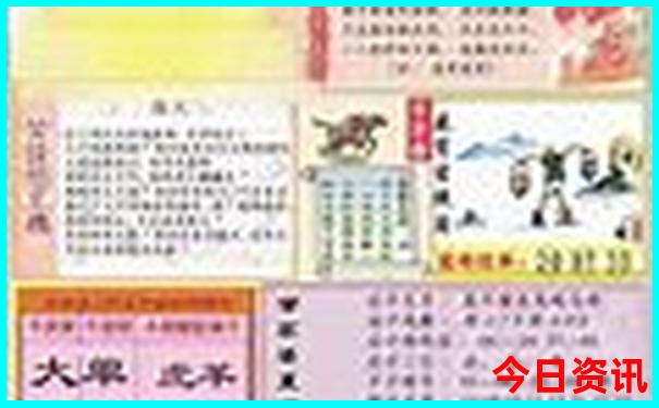 2025蛇年生肖49码表图片